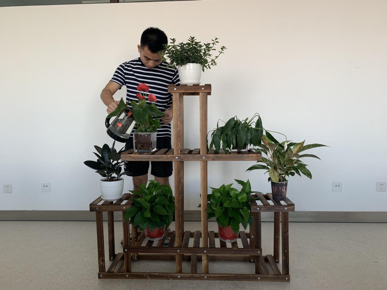 1566709517.jpg 1566709517.jpg