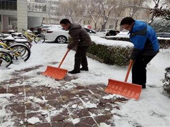 1546183360.jpg 2.jpg