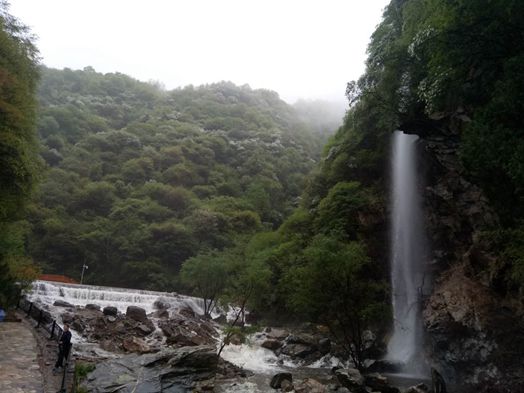 1556239067.jpg 4.jpg